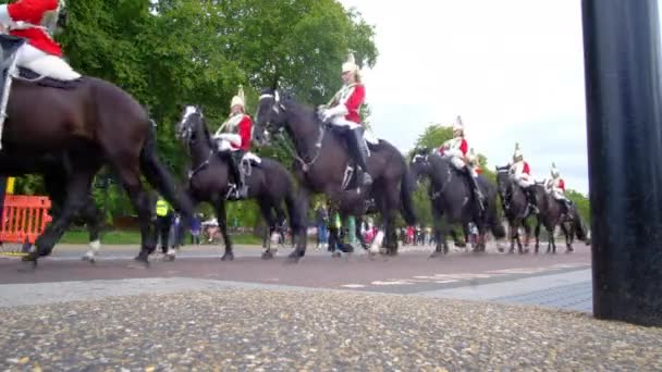 ロンドン グレア ブリテン 2019 馬に乗って王室の警備員のハイドパークパレード 高品質4K映像 — ストック動画