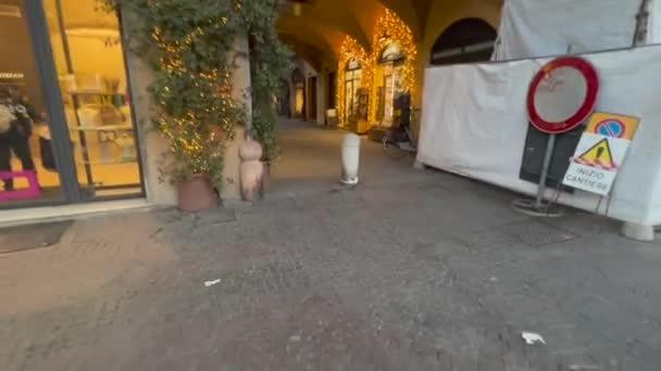 レッジョ エミリア イタリア 2091 市場や屋台と市内中心部 高品質4K映像 — ストック動画