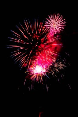 flowers fire works flowers in black sky. High quality photo