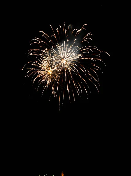 flowers fire works flowers in black sky. High quality photo