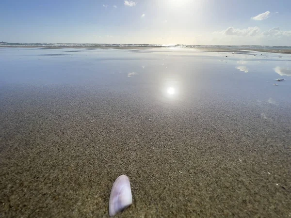 波の海底のポストカードの中のビーチのカクテルシェル 高品質の写真 — ストック写真