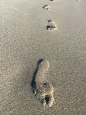 footprints in the sand of the seashore. High quality photo