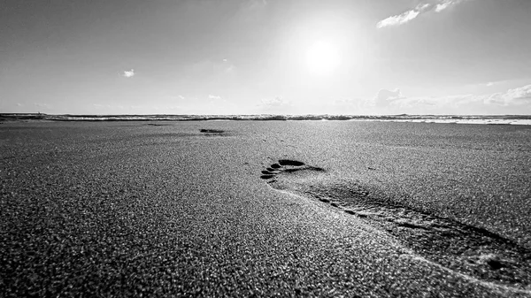 海岸の砂の中の足跡です 高品質の写真 — ストック写真