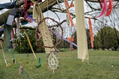 dream catcher hanging from tree branch. High quality photo