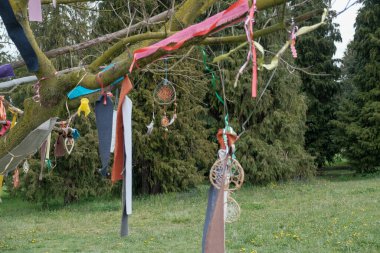 dream catcher hanging from tree branch. High quality photo