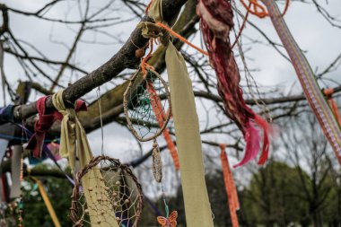 dream catcher hanging from tree branch. High quality photo