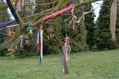 dream catcher hanging from tree branch. High quality photo