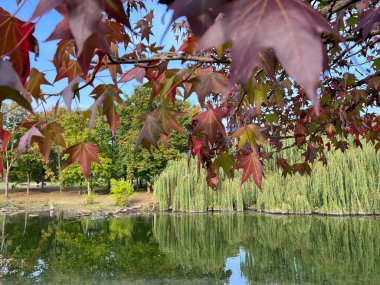 Pellerina park in Turin panoramic pond. High quality photo