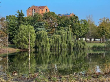 Pellerina park in Turin panoramic pond. High quality photo