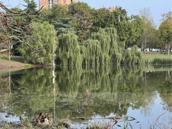 Pellerina park in Turin panoramic pond. High quality photo