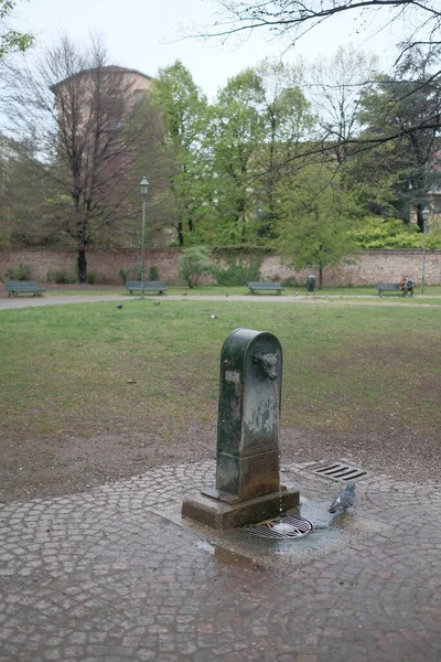 Tesoriera park in Turin after a downpour. High quality photo