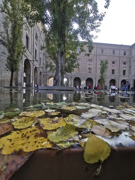 秋に葉を持つパルマ ピロッタ宮殿の噴水 高品質の写真 — ストック写真
