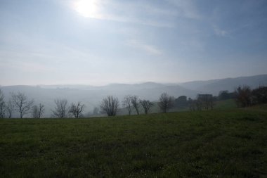 Italy Emilian hills with cultivated fields and vineyards. High quality photo