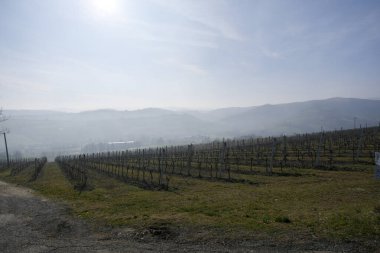 Italy Emilian hills with cultivated fields and vineyards. High quality photo