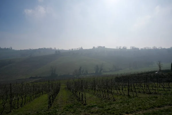 Italy Emilian Hills Cultivated Fields Vineyards High Quality Photo — Stock Photo, Image