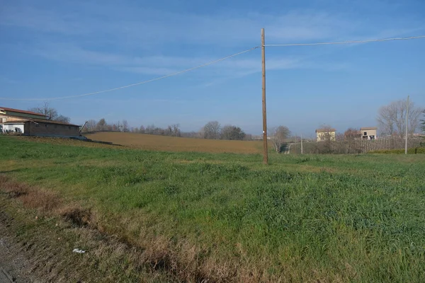 Italien Emilia Hügel Mit Bestellten Feldern Und Weinbergen Hochwertiges Foto — Stockfoto