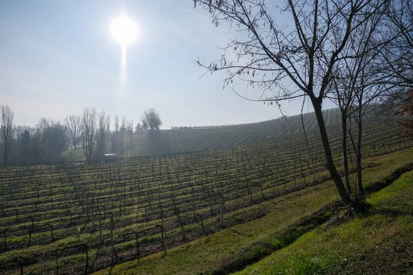 意大利的爱米利安山 有耕地和葡萄园 高质量的照片 — 图库照片