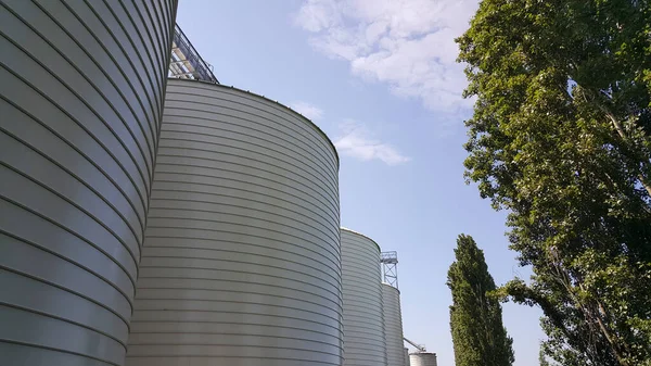 Large Metal Silos Containing Cereals High Quality Photo — Photo