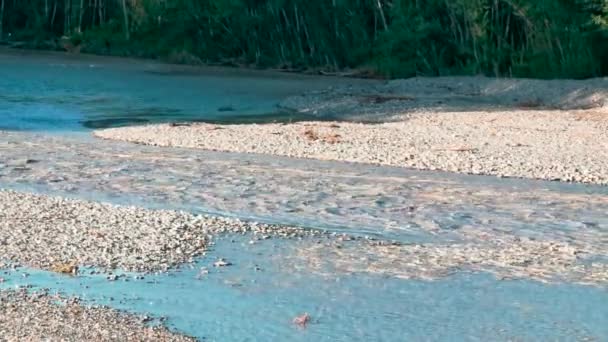 Потоп Реки Энца Монтеккьо Эмилия Италия Закате Высококачественные Кадры — стоковое видео