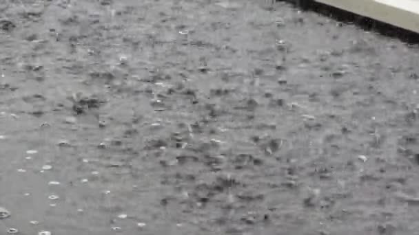 Δυνατή Βροχή Λακκούβα Υψηλής Ποιότητας Πλάνα — Αρχείο Βίντεο