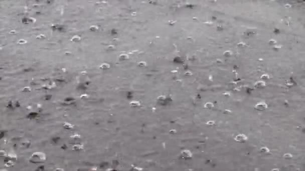 Hujan Deras Genangan Air Rekaman Berkualitas Tinggi — Stok Video