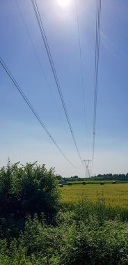 Açık alanda yüksek voltaj pilonu ve güneşli bir günde İtalya 'da yeşil çimenler. Yüksek kalite fotoğraf