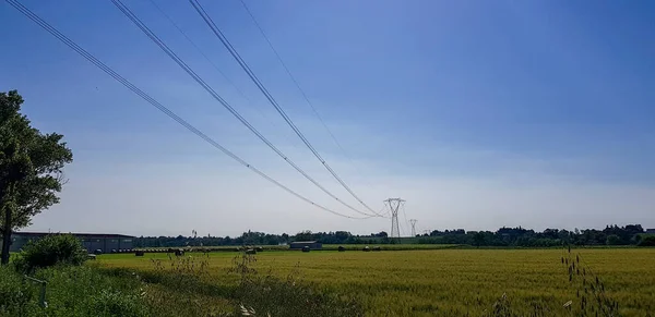 stock image high voltage pylon in open field with green grass in italy in sunny day. High quality photo