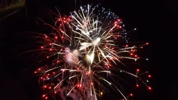 Fireworks Black Sky High Quality Footage — Stockvideo