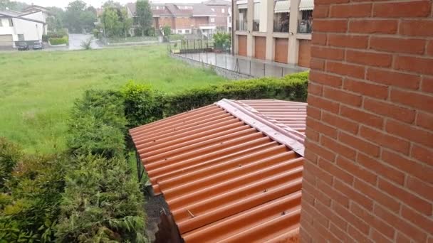 Zware Regen Het Oranje Bladerdak Hoge Kwaliteit Beeldmateriaal — Stockvideo