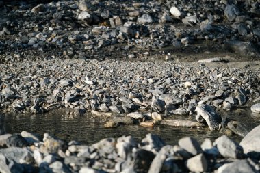 Nehir yatağında kristal berrak su. Yüksek kalite fotoğraf
