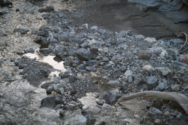 Nehir yatağında kristal berrak su. Yüksek kalite fotoğraf