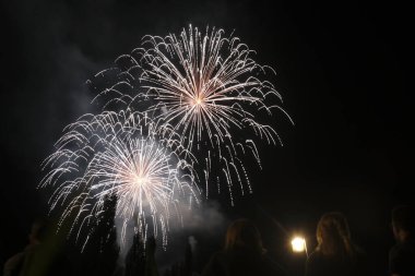Kara gökyüzünde havai fişek çiçeği. Yüksek kalite fotoğraf