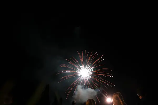 Feuerwerksblume Schwarzen Himmel Hochwertiges Foto — Stockfoto
