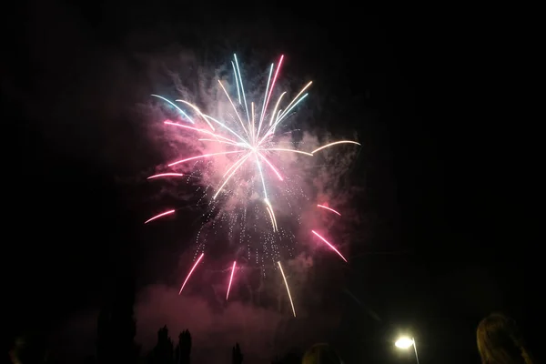 Feuerwerksblume Schwarzen Himmel Hochwertiges Foto — Stockfoto