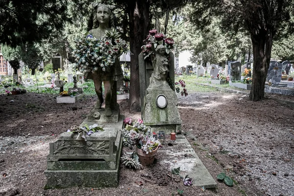Uraltes Grab Auf Verlassenem Friedhof Hochwertiges Foto — Stockfoto