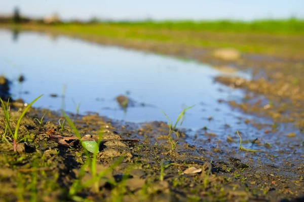 stock image big puddle after flood with sun reflection. High quality photo