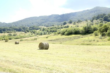 Güneşli bir günde Abruzzo Milli Parkı, Pescasseroli Aquila Panoraması. Yüksek kalite fotoğraf