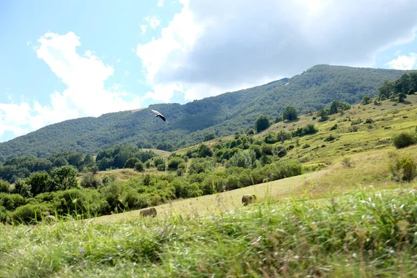 Panorama Abruzji Pescasseroli Aquila Słoneczny Dzień Wysokiej Jakości Zdjęcie — Zdjęcie stockowe