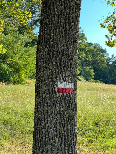 Stock image at least with red and white signs to signal cai and via francigena paths. High quality photo