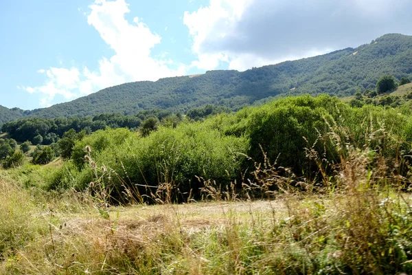 Panorama Del Parco Nazionale Abruzzo Pescasseroli Aquila Giornata Sole Foto — Foto Stock