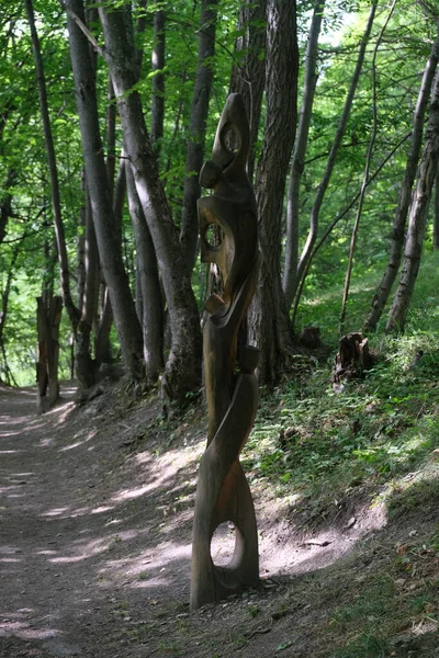 Bardonecchia Turin Sculpté Des Statues Bois Dans Sentier Forestier Qui — Photo