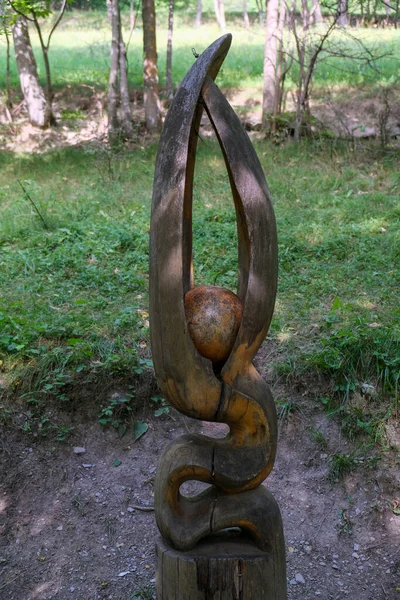 Bardonecchia Turin Sculpté Des Statues Bois Dans Sentier Forestier Qui — Photo