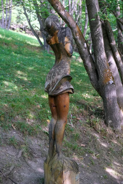 Bardonecchia Turim Esculpiu Estátuas Madeira Caminho Floresta Que Corre Lado — Fotografia de Stock