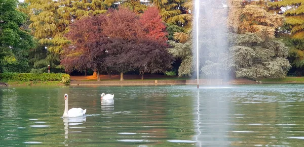 Artificial Lake Milan Italy Fountain High Quality Photo — Stock Photo, Image
