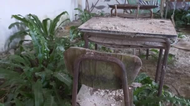 放棄された学校のベンチを 緑で破壊した 高品質の4K映像 — ストック動画