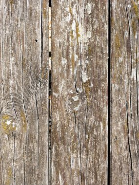 Küflü eski ahşap tahtalar. Yüksek kalite fotoğraf