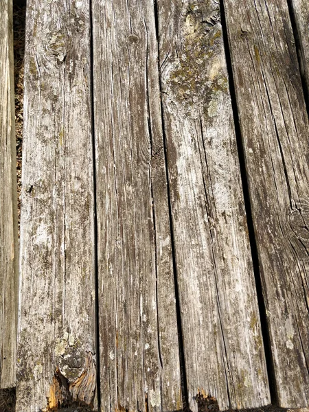 Oude Houten Planken Met Mallen Hoge Kwaliteit Foto — Stockfoto