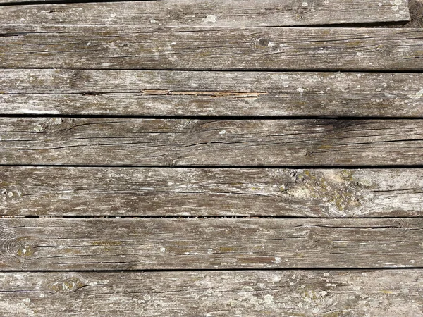 Stare Drewniane Deski Pleśnią Wysokiej Jakości Zdjęcie — Zdjęcie stockowe
