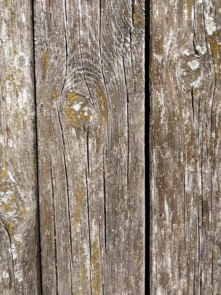 Stare Drewniane Deski Pleśnią Wysokiej Jakości Zdjęcie — Zdjęcie stockowe