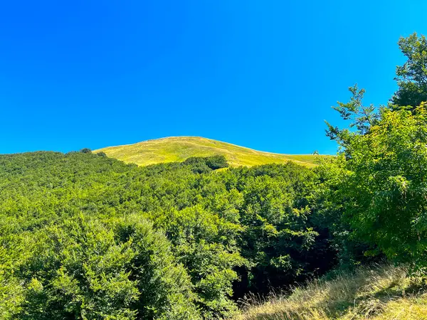 Panorama Från Mount Ventasso Reggio Apennines Sommaren Solig Dag Högkvalitativt — Stockfoto